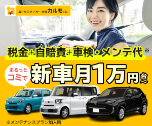 定額カルモくんの広告