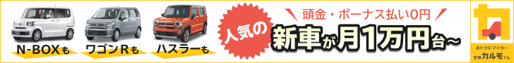 定額カルモくんの広告2